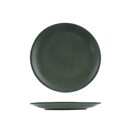 Coupe Plate-260mm, Forest: Pack of 6