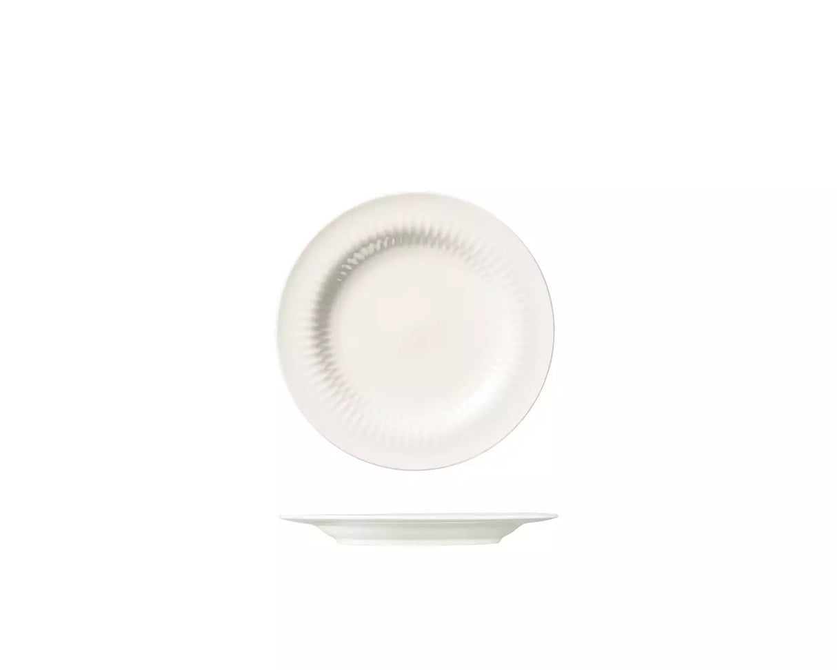 Round Rim Plate - 210mm - White: Pack of 6