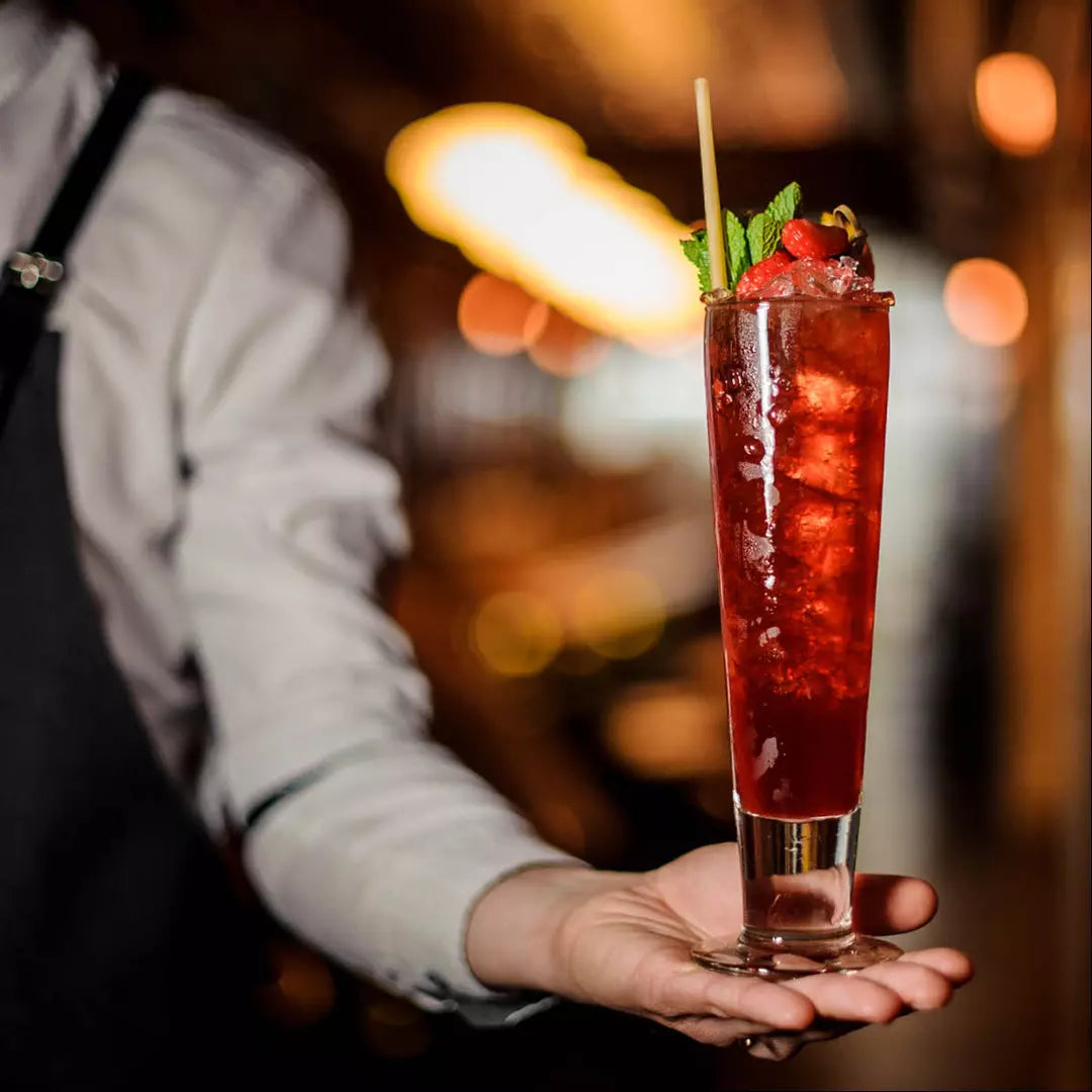 Catalina Tall Beer - 429 ml: Pack of 24