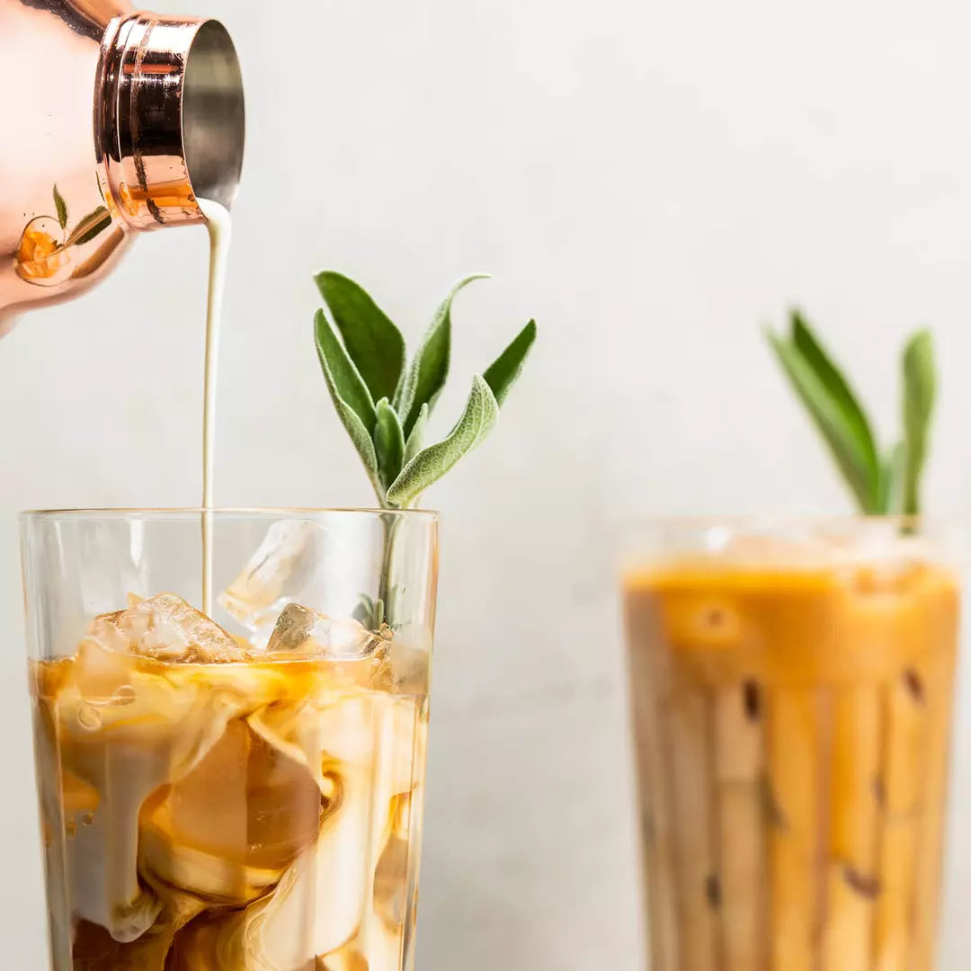 Galao Espresso - 100 ml: Pack of 24