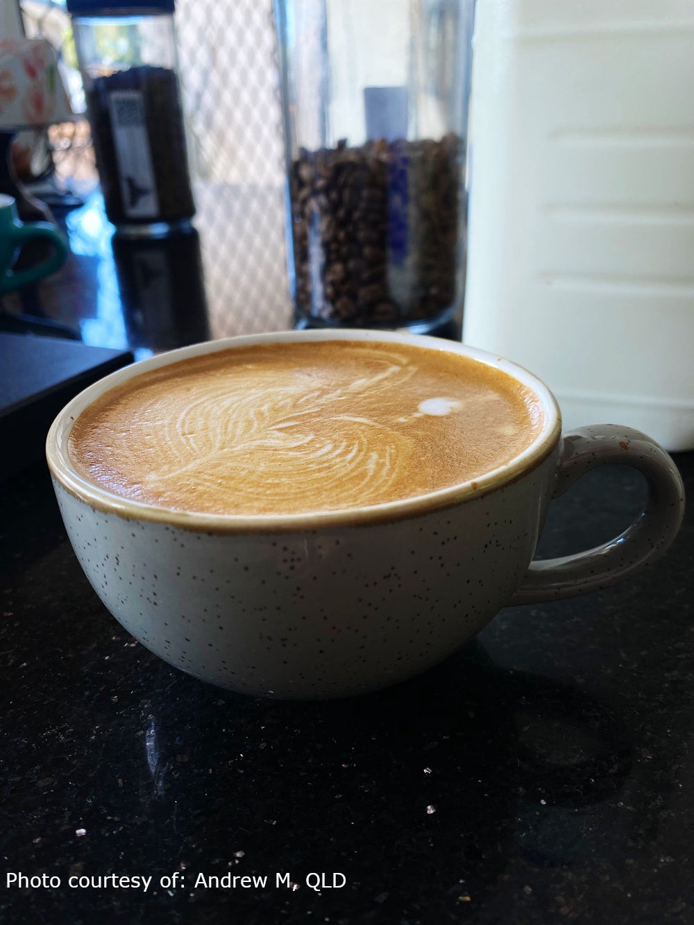 Cappuccino - 227mL, Peppercorn Grey,  in use