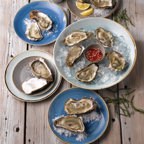 Round Coupe Plate - 165mm, Cornflower Blue, Stonecast: Pack of 4