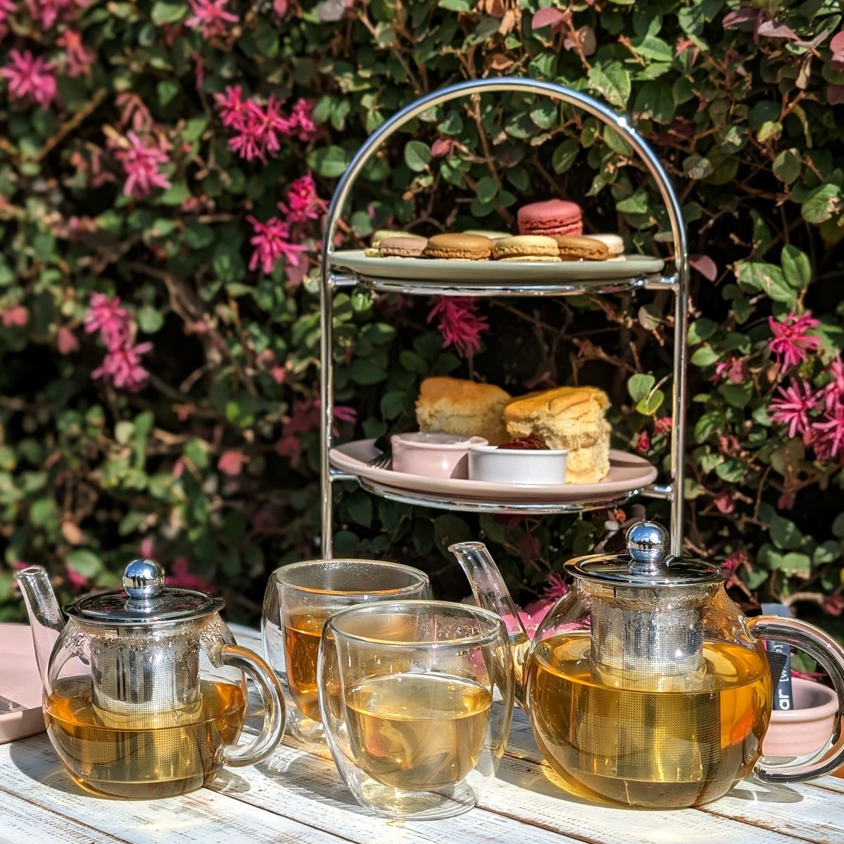 Teapot 600ml With Infuser: Pack of 6