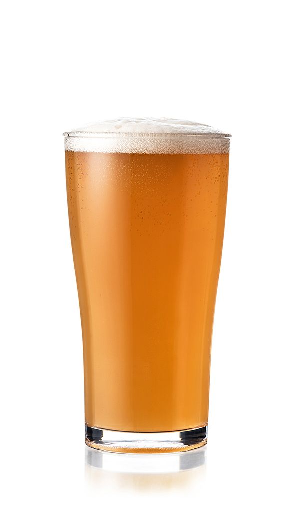 Club Conical - 285ml, Styrene: Pack of 6