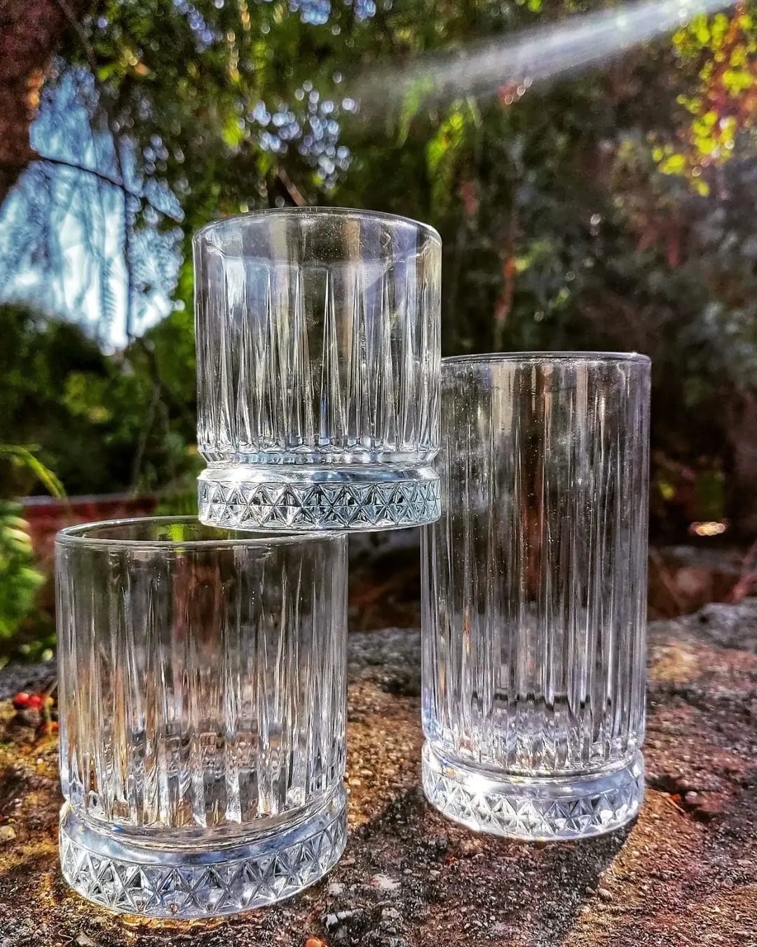 Three Pasabahce Elysia glasses grouped on a stone surface outdoors — two short whisky tumblers and one tall glass showing vertical and diamond-cut detailing