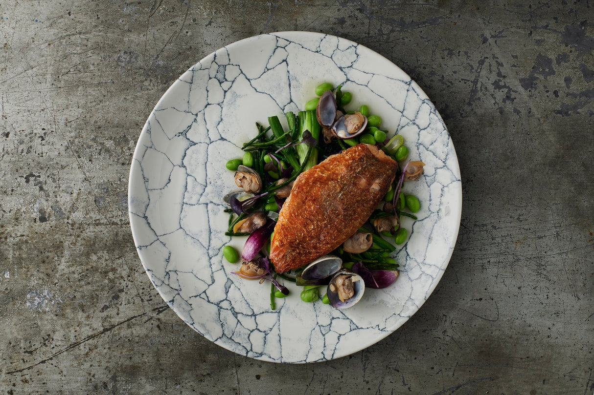 Coupe Plate - 260Mm, Kintsugi Pearl Grey: Pack of 12