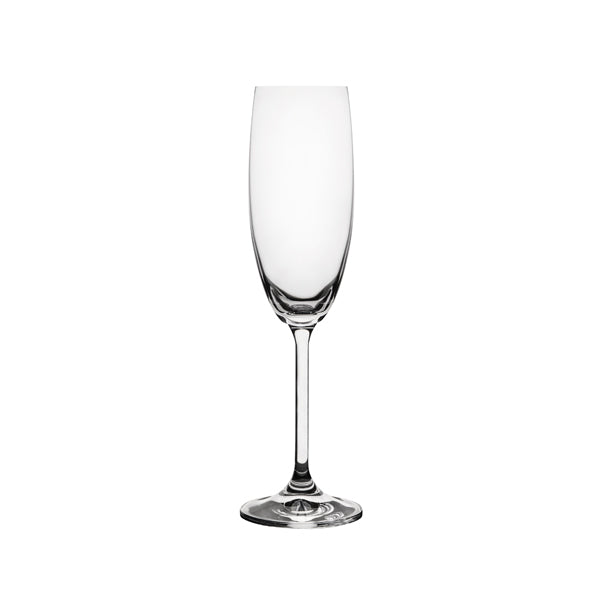 Carnivale Champagne Flute - 180ml from Ryner Glassware. Sold in boxes of 6. Hospitality quality at wholesale price with The Flying Fork!