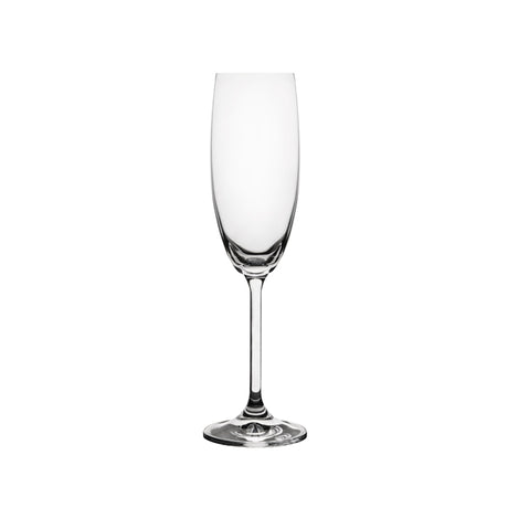 Carnivale Champagne Flute - 180ml from Ryner Glassware. Sold in boxes of 6. Hospitality quality at wholesale price with The Flying Fork!