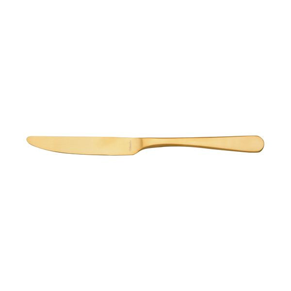 Table Knife - AUSTIN GOLD from Amefa. made out of Stainless Steel and sold in boxes of 12. Hospitality quality at wholesale price with The Flying Fork!