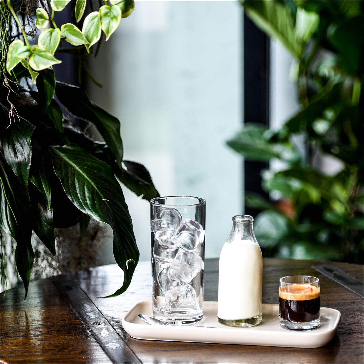 Rectangular Tray - 250x130x20mm, Servire, Raven: Pack of 4