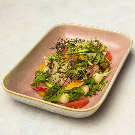 Rectangular Dish - 345x240x55mm, Icon