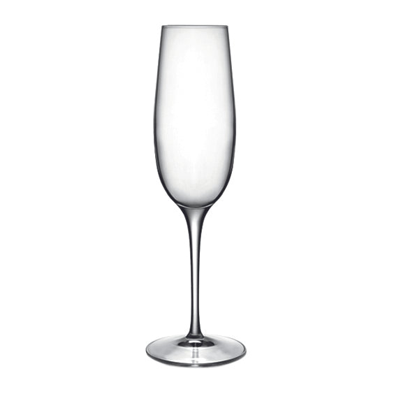 Palace Flute - 235ml from Luigi Bormioli. made out of Glass and sold in boxes of 6. Hospitality quality at wholesale price with The Flying Fork!