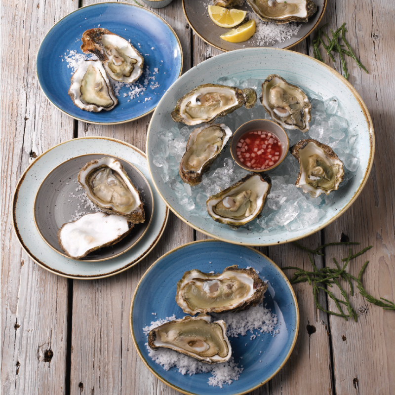 Oval Coupe Plate - 192x163mm, Peppercorn Grey, Stonecast: Pack of 12