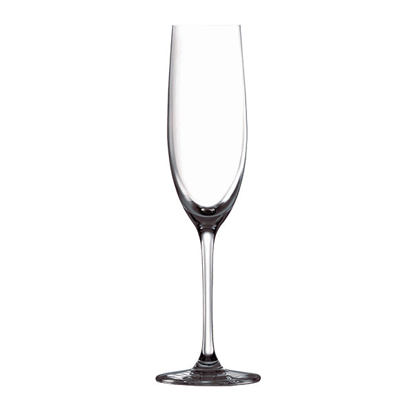 Tempo Champagne Flute - 180ml from Ryner Glassware