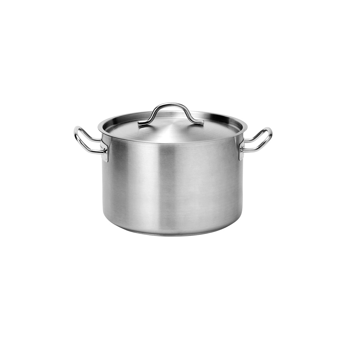  Castainless Steelerole W/Lid 300X200Mm Stainless Steel Tri-Ply 14Lt
