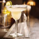 Citation Coupette/Margarita - 436 ml: Pack of 12
