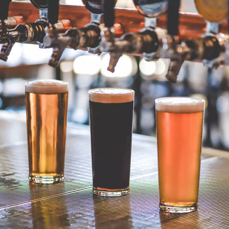 Three small beer glasses all containing liquid on a bar setting with beer taps above each