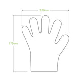Medium Glove - Compostable - Carton of 1000 units