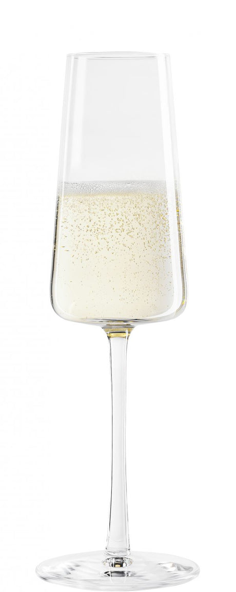 Champagne Flute - 238ml, Power from Stolzle. made out of Glass and sold in boxes of 6. Hospitality quality at wholesale price with The Flying Fork! 