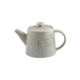 Light grey teapot with handle on white background