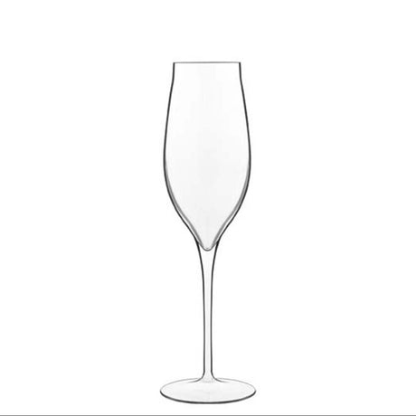 Clear champagne flute on white background