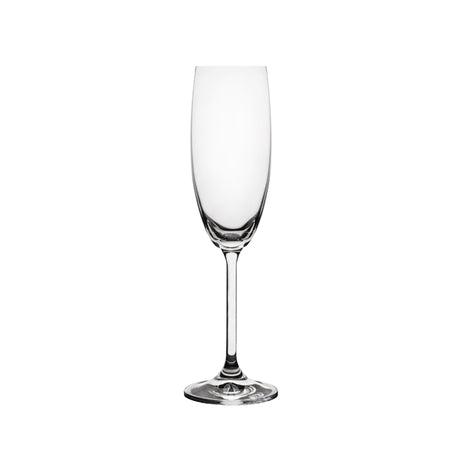Carnivale Champagne Flute - 180ml from Ryner Glassware. Sold in boxes of 6. Hospitality quality at wholesale price with The Flying Fork! 