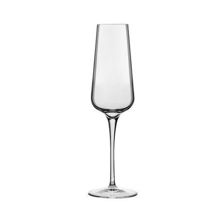 Intenso Flute - 240ml from Luigi Bormioli. made out of Glass and sold in boxes of 6. Hospitality quality at wholesale price with The Flying Fork! 