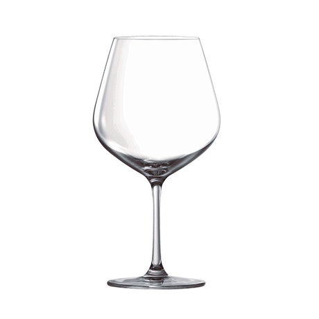 Tempo Burgundy - 740ml from Ryner Glassware