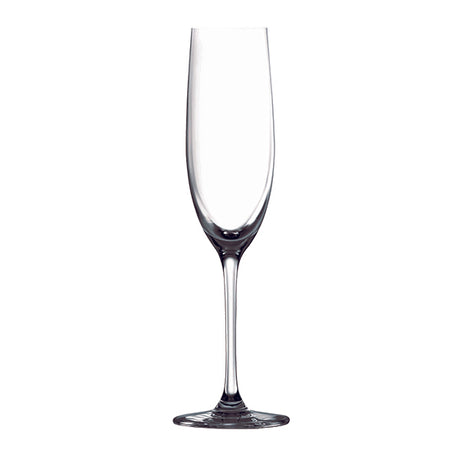 Tempo Champagne Flute - 180ml from Ryner Glassware. Sold in boxes of 6. Hospitality quality at wholesale price with The Flying Fork! 