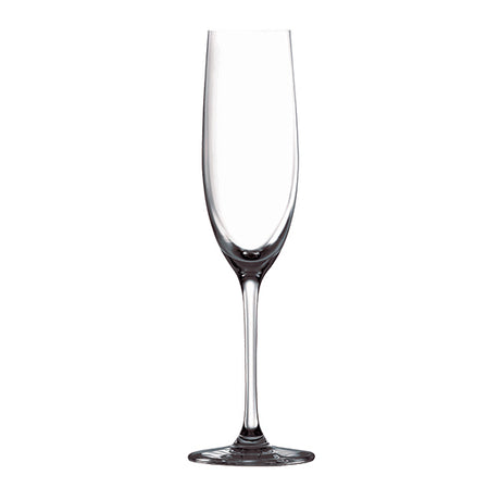 Tempo Champagne Flute - 180ml from Ryner Glassware